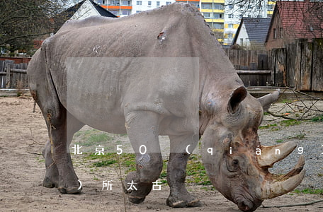 北京50強(qiáng)律師事務(wù)所太古