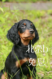 北京bj40分期免息-北京bj40分期免息