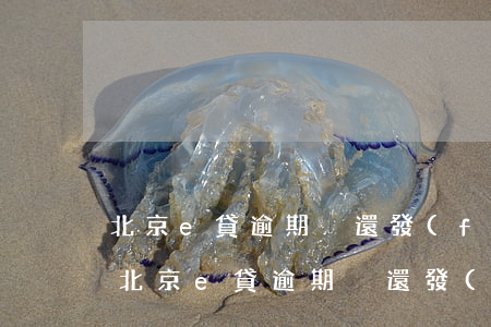 北京e貸逾期沒還發(fā)來信息還款-北京e貸逾期沒還發(fā)來信息還款通知