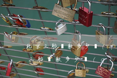 北京三胎罰款多少錢(qián)啊(北京市三胎罰款多少錢(qián))