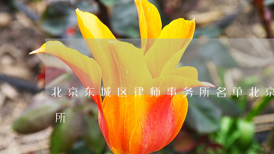 北京东城区律师事务所名单(北京市东城律师所)