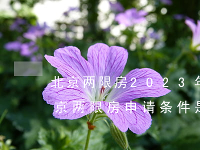 北京两限房2023年买卖政策是怎样的（北京两限房申请条件是什么）