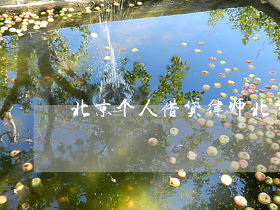 北京个人借贷律师(北京民间个人借贷)