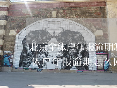 北京个体户年报逾期怎么网上补报-北京个体户年报逾期怎么网上补报呢