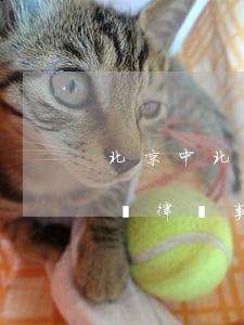 北京中北律師事務(wù)所怎么樣(北京中師律師事務(wù)所怎么樣)