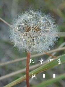 北京中望逾期會被起訴嗎(北京中望逾期會被起訴嗎)