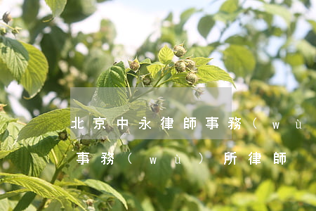 北京中永律師事務(wù)所(北京中永律師事務(wù)所律師)
