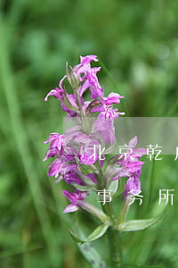 北京乾成(杭州)律师事务所(北京乾成(杭州)律师事务所杨吉木)