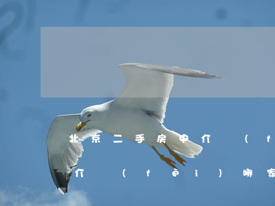 北京二手房中介費(fèi)(北京二手房中介費(fèi)哪家低)