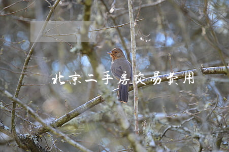 北京二手房交易费用