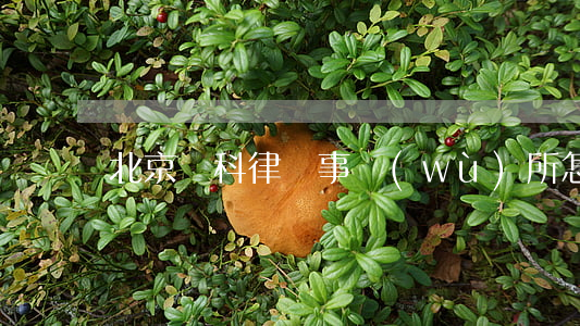 北京亞科律師事務(wù)所怎么樣