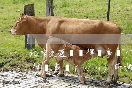 北京交通訴訟律師事務(wù)所(北京交通律師事務(wù)所排名)
