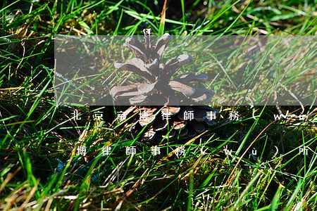 北京京博律師事務(wù)所怎么樣(北京淵博律師事務(wù)所)