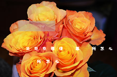 北京京博律師事務所怎么樣(北京博仁律師事務所 怎么樣)