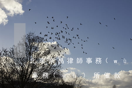 北京京品律師事務(wù)所(北京京品律師事務(wù)所催款)