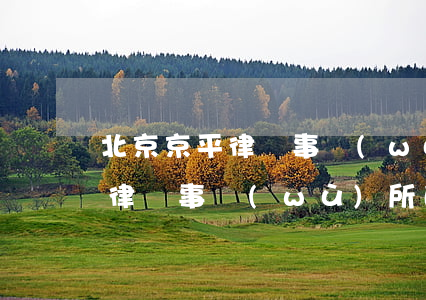 北京京平律師事務(wù)所全部人員(京平律師事務(wù)所的地址)
