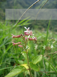 北京京平律師事務(wù)所全部人員名單