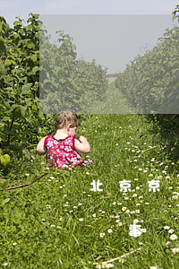 北京京豐律師事務(wù)所(北京市榮豐律師事務(wù)所)
