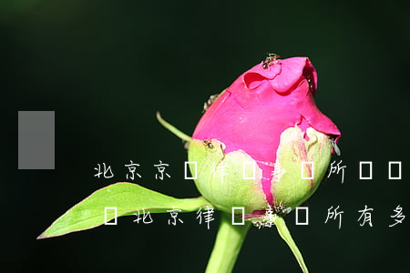 北京京門律師事務所組織機構(gòu)代碼(北京律師事務所有多少家)