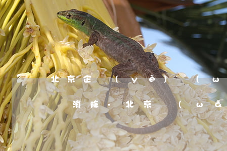 北京企業(yè)網(wǎng)貸逾期記錄消除-北京網(wǎng)貸最新政策