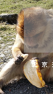 北京來碩律師事務(wù)所怎么樣