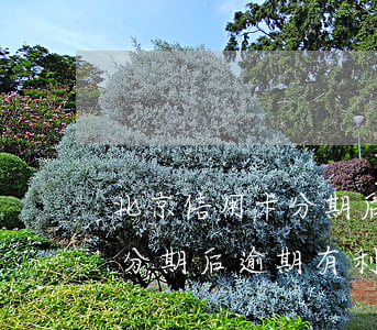 北京信用卡分期后逾期有利息吗(北京信用卡分期后逾期有利息吗)