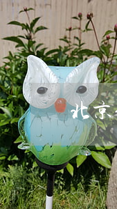 北京信用卡協(xié)商分期