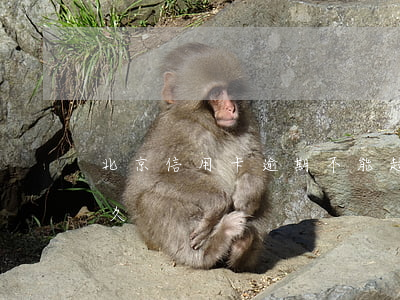 北京信用卡逾期不能超過幾天(信用卡 逾期多久)