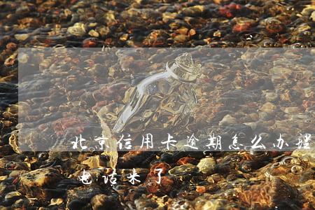 北京信用卡逾期怎么办理(信用卡逾期北京打电话来了)