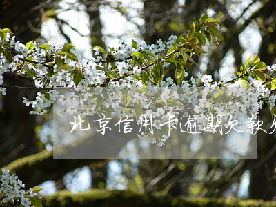 北京信用卡逾期欠款(欠信用卡立案)
