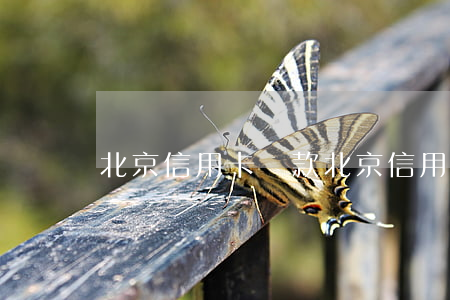 北京信用卡還款(北京信用卡還款能延遲幾天)