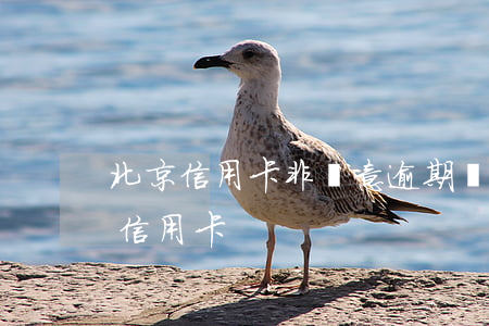 北京信用卡非惡意逾期證明(非惡意逾期證明 信用卡)
