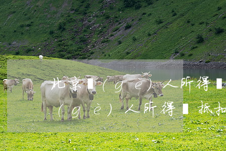 北京個(gè)人所得稅買房減多少(北京個(gè)人所得稅抵扣)
