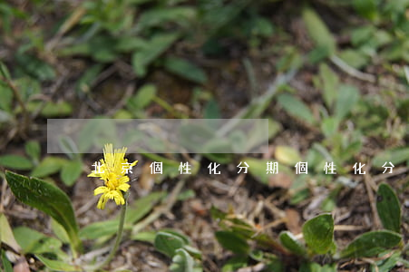 北京個性化分期(個性化分期好申請嗎)