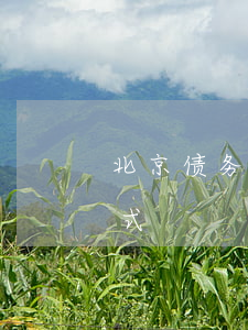 北京债务律师联系方式（北京债务律师联系方式）