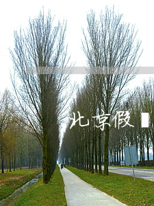 北京假離婚買房