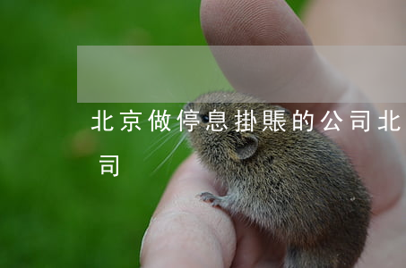北京做停息掛賬的公司 北京做停息掛賬的公司