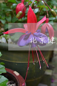 北京健康證辦理流程是怎樣的（健康體檢流程）