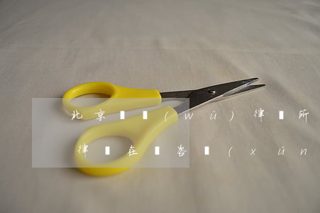 北京債務(wù)律師所(北京債務(wù)律師在線咨詢(xún)免費(fèi))