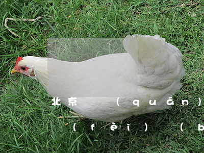 北京債權(quán)債務(wù)律師收費(fèi)標(biāo)準(zhǔn)是什么