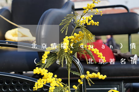 北京債權(quán)債務(wù)律師費(fèi) 北京著名債權(quán)債務(wù)律師事務(wù)所