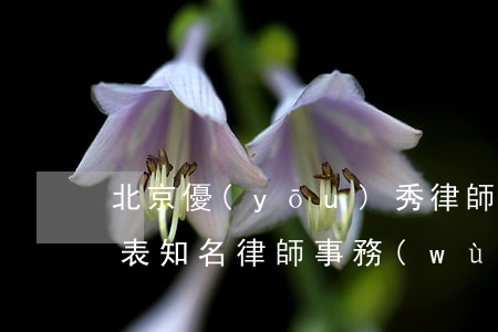 北京優(yōu)秀律師事務(wù)所列表(知名律師事務(wù)所 北京)