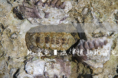 北京免費法律援助(北京免費法律援助條件)