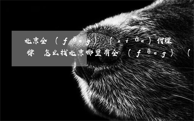 北京全風(fēng)險(xiǎn)代理律師怎么找(北京哪里有全風(fēng)險(xiǎn)代理律師)