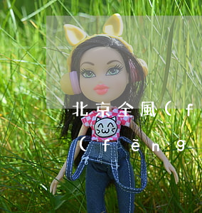 北京全風(fēng)險代理律師(北京全風(fēng)險代理律師收費(fèi)標(biāo)準(zhǔn))