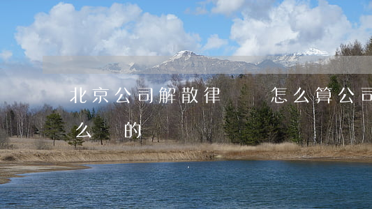 北京公司解散律師費怎么算(公司解散費是怎么賠的)