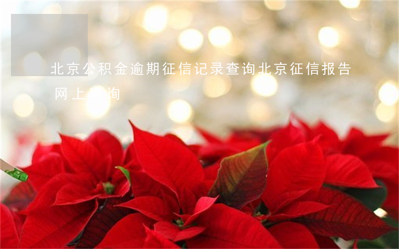 北京公积金逾期征信记录查询(北京征信报告网上查询)