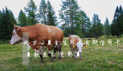 北京公積金信用卡逾期(信用卡有逾期公積金貸款是否受影響)