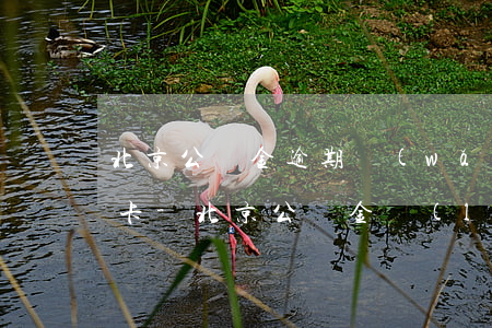北京公積金逾期網(wǎng)上辦理信用卡-北京公積金聯(lián)名信用卡
