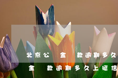 北京公積金還款逾期多久上征信-北京公積金還款逾期多久上征信記錄